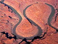 Canyon Petroglyphs