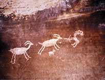 Canyon petroglyphs