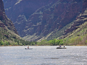 The Green River at the entrance to Lodore Canyon, 22 miles upstream from the proposed dam site.
