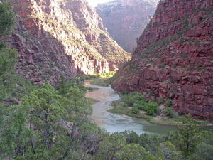 The Green River 15 miles upstream from the proposed dam site in Lodore Canyon. This would have been a lake.